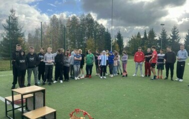 31
