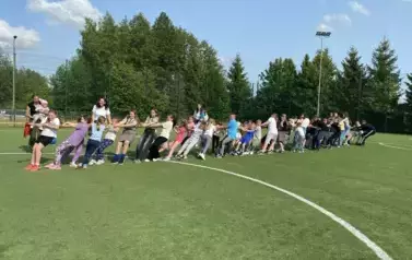 33