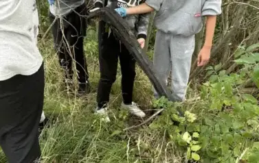 17