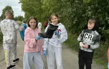 13