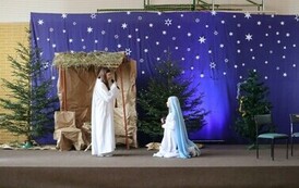 IMG_4648