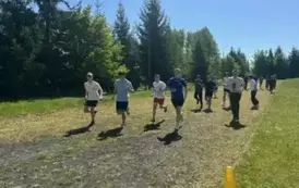 41
