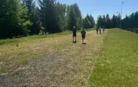 36