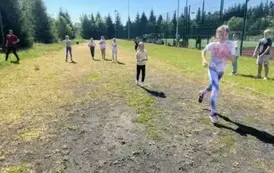33