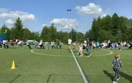 31