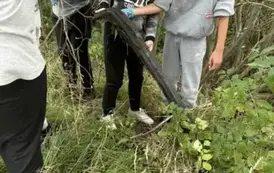 17