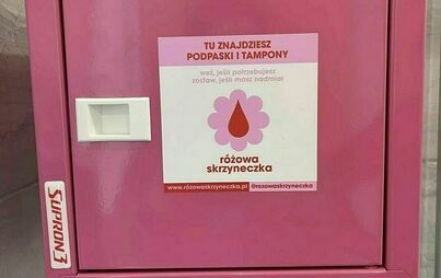 Zdjęcie do R&oacute;żowe skrzyneczki