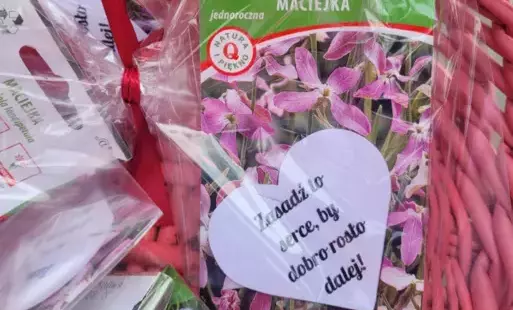 Zdjęcie do WALENTYNKI 2025
