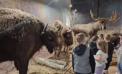 Zdjęcie do WYCIECZKA DO MUZEUM PRZYRODY W OLSZTYNIE